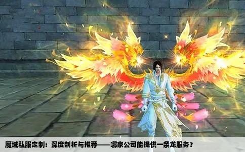 魔域私服定制：深度剖析与推荐——哪家公司能提供一条龙服务？